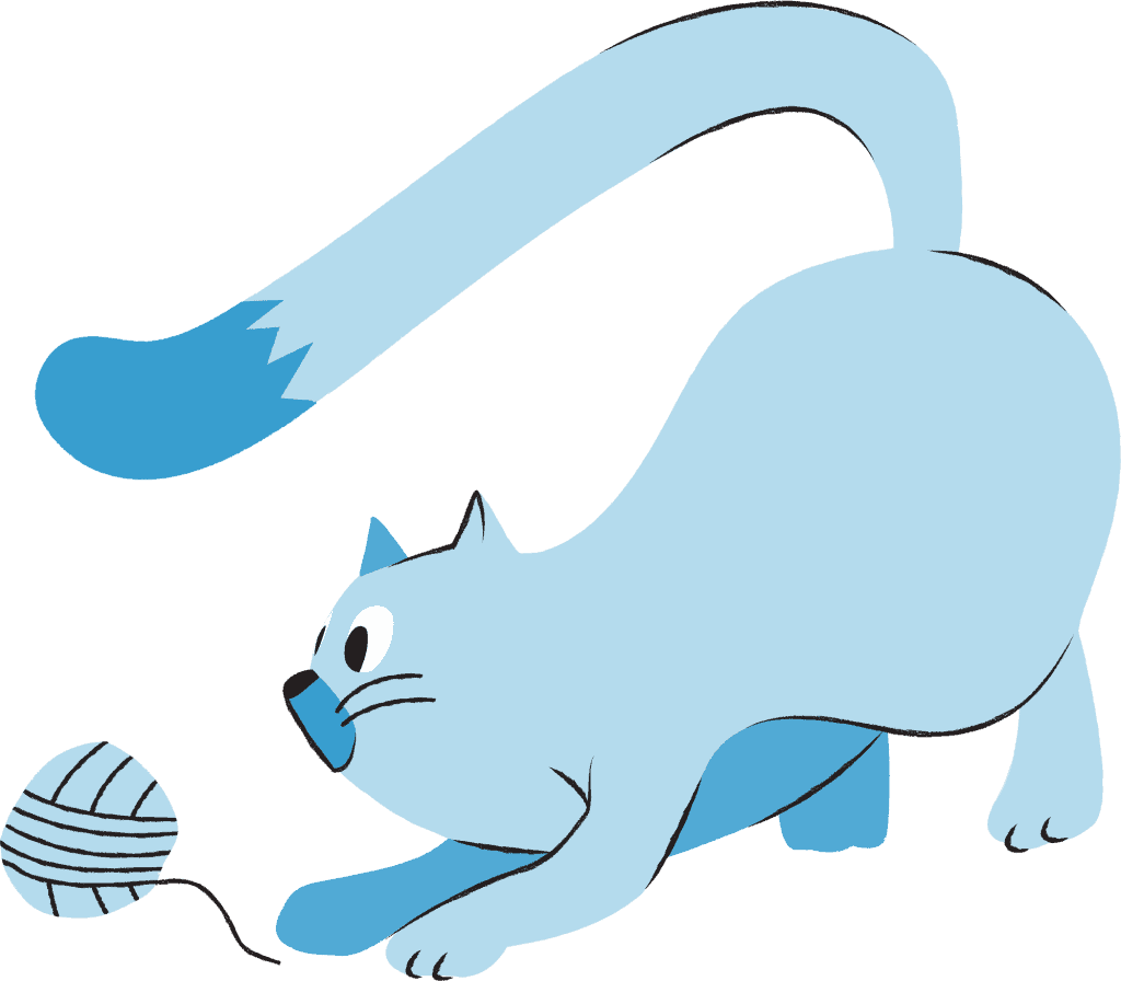 tommie the cat,over,tommie