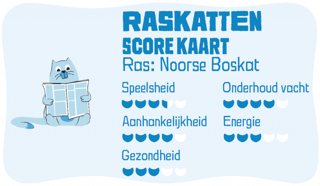 Raskatten scorekaart Noorse Boskat