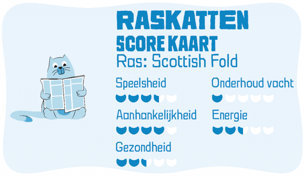 Raskatten scorekaart Scottish Fold