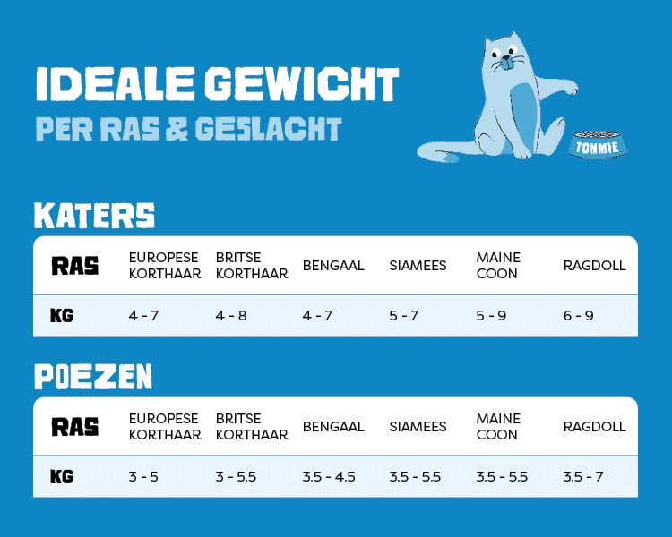 Gewicht kat per ras en geslacht overzicht