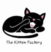kittenfactory logo