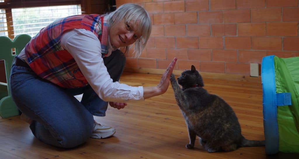 Dierengedragstherapie praktijk de Kleine Franciscus