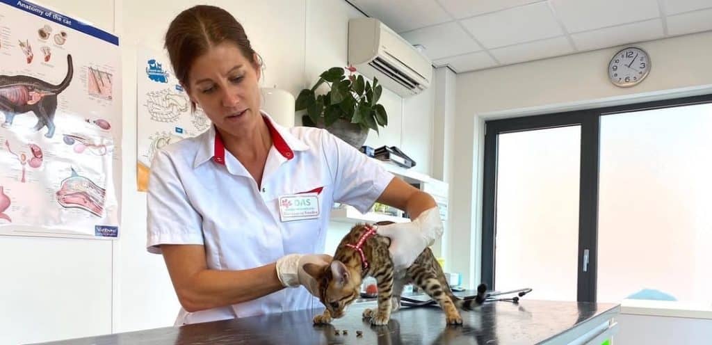 Sandra de dierenarts