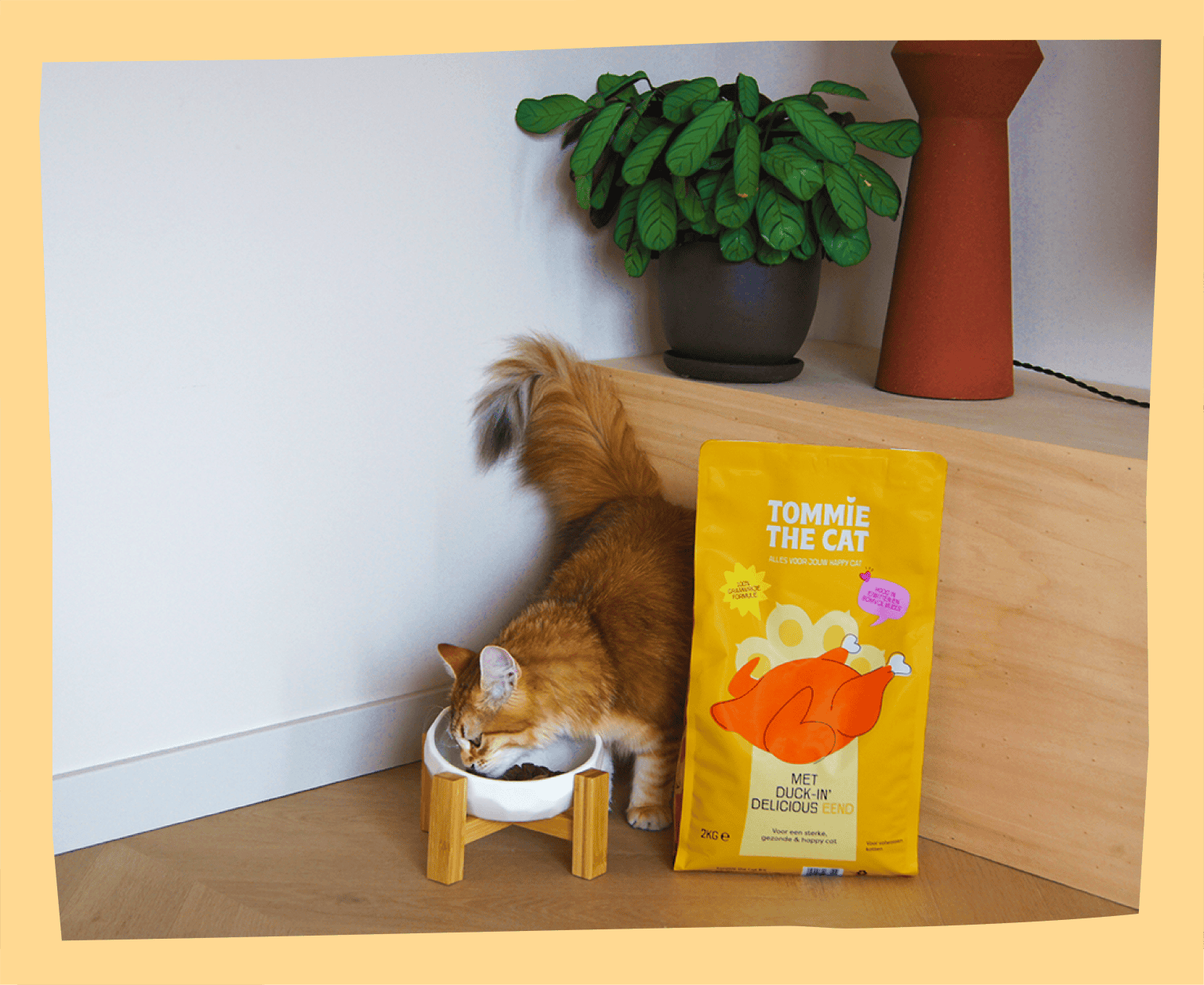 Tommie the Cat blog: de grootste katten ter wereld